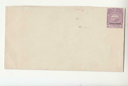 1888/1890's AUSTRALIA NEW SOUTH WALES PREFRANKED Cover ONE PENNY SPECIMEN-PP247 - Cartas & Documentos