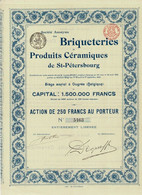 - Titre De 1899 - Briqueteries Et Produits Céramiques De St-Pétersbourg - - Russie