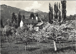 Malans Schloss Bothmar GR - Malans