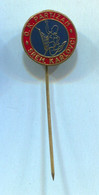 Volleyball Pallavolo - OK Partizan Sremski Karlovci Vojvodina ( Serbia ), Vintage Pin Badge Abzeichen - Voleibol