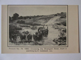 Zimbabwe(Rhodesia):Crossing The Shangani River 1906,picture 76 Unused Postcard - Zimbabwe