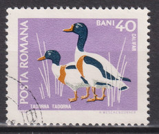 1968 Rumänien,  Mi:RO 2726°, Yt:RO 2425°, Gänse, Fauna Der Naturschutzgebiete - Gänsevögel