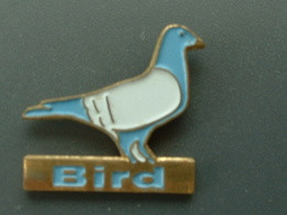 PIN'S COLOMBOPHILIE - PIGEON - BIRD - Animaux
