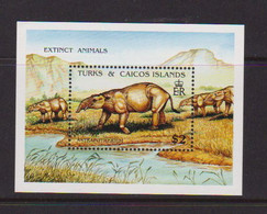 TURKS  AND  CAICOS  ISLANDS    1991    Extinct  Species    Sheetlet    MNH - Turks & Caicos (I. Turques Et Caïques)