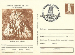 Romania - Postal Stationery  :  Eurasian Eagle-Owl  -  Bubo Bubo - Hiboux & Chouettes