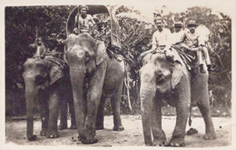 ELEPHANTS ET LEURS CORNACS MALAY MALAYSIA MALAISIE CARTE PHOTO - Malaysia