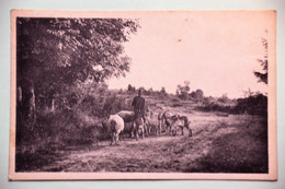 Burnontige 1940: Le Chevrier - Ferrières