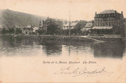 BELGIQUE - S05887 - Vallée De La Meuse - Waulsort - Les Hôtels - En L'état - Pli - L1 - Hastière