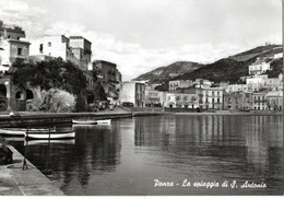 PONZA (LATINA) LA SPIAGGIA DI S.ANTONIO - ED.MANNA - VG FG - C06132 - Latina