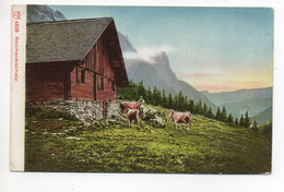 REICHENBACH ALP Bauer Mit Kühen - Reichenbach Im Kandertal