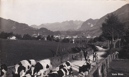 Epagny-Gruyères, Pra Dêrê - "vers Broc" Troupeau Sur La Route Entre Gruyères Et Broc - Broc