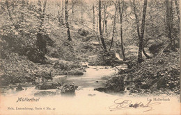 LUXEMBOURG - S05943 - Müllerthal - Le Hallerbach - L1 - Müllerthal