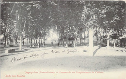 CPA - FRANCE - 82 - NEGREPELISSE - Promenade Sur L'emplacement Du Château - Achille BOUIS Monteauban - Dos ND - Negrepelisse