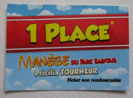 TICKET PLACE DE MANEGE DU PARC SAINTAIS SAINTES CHARENTE MARITIME - Tickets - Vouchers