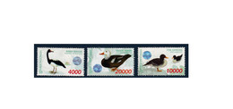 G521. Indonesie / Anas Waigiuensis / Indonesia / 1998 / Birds / Aves / Canards / Patos - Verzamelingen, Voorwerpen & Reeksen