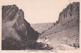 EL KANTARA / LES GORGES COTE SUD - Batna