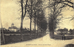 Carte POSTALE  Ancienne De AUTREY Les GRAY - Avenue De St Seine - Autrey-lès-Gray