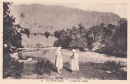 EL KANTARA / L OUED ET L OASIS - Batna