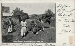 Deutsche Kolonien TÜRKEI - PALÄSTINA CAMELS Laden With Olive Wood O BEIRUT  2.9.10 Auf MEF Senkr. Oberrabd-Paar Nach Lei - Unclassified