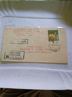 Cuba.argentina.from Cienfuegos Reg Letter Clear Pmks.dromedario Camel Zoo 64  .reg Post E7 Conmems.1 /2 Cover - Briefe U. Dokumente