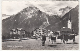 C2170) KRIMML Im Oberpinzgau - Kühe Haus DETAILS U. Kirche ALT - Krimml