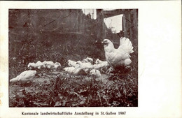 Landwirtschaft Kantonale Landwirtschaftliche Ausstellung St. Gallen 1907 I-II (fleckig) Paysans Expo - Other & Unclassified