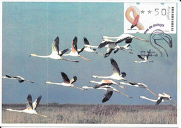 CARTE MAXIMUM - MAXICARD - CARTOLINA MAXIMA - MAXIMUM KARTE - PORTUGAL - OISEAUX - FLAMANT - Phoenicopterus Ruber - Flamingo