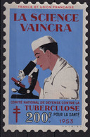 France Vignettes Antituberculeux - Grand Format 93x144 Mm - TB - Tegen Tuberculose