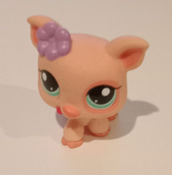 Figurine Hasbro China Chine Année ??? Cochon Pig Maiale 돼지 고기 Cerdo 豚肉 Porc 猪 Porcu Asie Asiatique En TB.Etat - Maiali