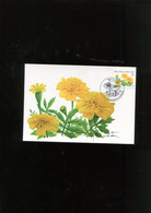 Belgie 3824 Buzin Flowers Maximumkaart Marche-en-Famenne ROLZEGEL - 2001-2010