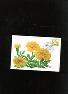 Belgie 3824 Buzin Flowers Maximumkaart Marche-en-Famenne ROLZEGEL - 2001-2010