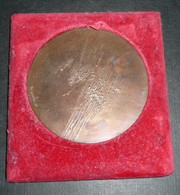 Rare Grande Médaille En Cuivre, Crédit National 1919-1969, Gravure Demarchi 69 - Professionnels / De Société