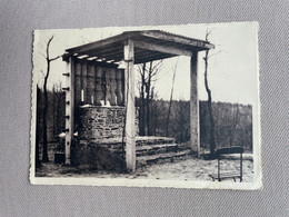 CHALET GERARD Pension De Famille - LA HOUPPE-FLOBECQ - La Chapelle De CIBI / THILL / NELLS - 1953 - Flobecq - Vloesberg