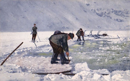 DAS RIESENGEBIRGE Im WINTER : EISGEWINNUNG AUF DEM GROSSEN TEICH / ICE RECOVERY ON THE LARGE POND ~ 1910 (ak953) - Schlesien