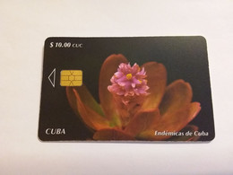 Cuba - Kuba - Endemicas De Cuba Flower Blume Flowers - Cuba