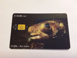 Cuba - Kuba - Pez Erizo Fish Fisch  Animal Tiere - Cuba