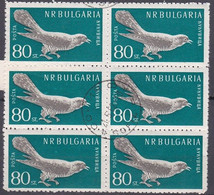 Bulgaria, Cuculo - Coucou, 1959 - Cuckoos & Turacos