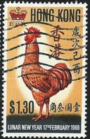 HONG-KONG - Coq (Gallus Gallus Domesticus) - Usados