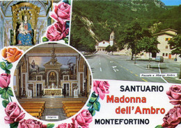 CARTOLINA 2009 ITALIA FERMO MONTEFORTINO SANTUARIO MADONNA DELL'AMBRO ITALY Postcard Italien Ansichtskarten - Fermo