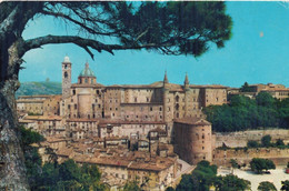 Urbino - Panorama - 76 - Formato Grande Viaggiata – FE170 - Urbino