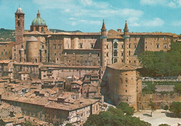 Urbino - Panorama - Formato Grande Viaggiata – FE170 - Urbino