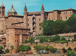 Urbino - Panorama - Particolare - Formato Grande Viaggiata – FE170 - Urbino