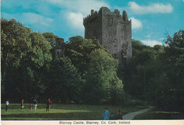 Blarney Castle, Blarney, Co.  Cork, Ireland - Cork