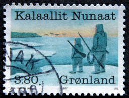Greenland 1987 Year Of The Hunter MiNr.173   ( Lot D 1721) - Gebruikt