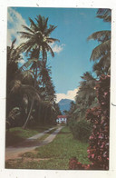 Cp, GUADELOUPE , ANTILLES FRANCAISES,  La Soufrière SAINT CLAUDE,  écrite 1962 - Autres & Non Classés