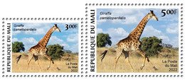 MALI 2022 SET 2V - GIRAFE GIRAFES - CORONAVIRUS COVID COVID-19 CORONA VIRUS PANDEMIC - MNH - Girafes