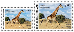 MALI 2022 SET 2V - GIRAFE GIRAFES - CORONAVIRUS COVID COVID-19 CORONA VIRUS PANDEMIC - MNH - Giraffes