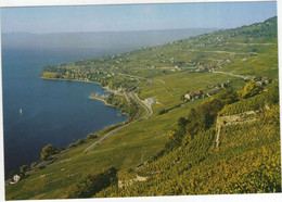 Vignobles De Lavaux (Lac Léman) Cully, Grandvaux, Epesses, Riex - (Schweiz-Suisse-Switzerland) - Cully