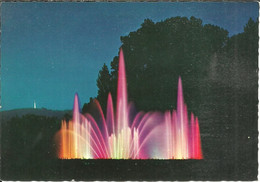 Torino (Piemonte) Parco Del Valentino, Fontana Luminosa, Notturno, Fontaine Lumineuse La Nuit, By Night - Parks & Gardens