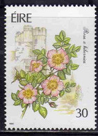 EIRE IRELAND IRLANDA 1990 FLORA GARDEN FLOWERS ROSA X HIBERNICA 30p USED USATO OBLITERE' - Used Stamps